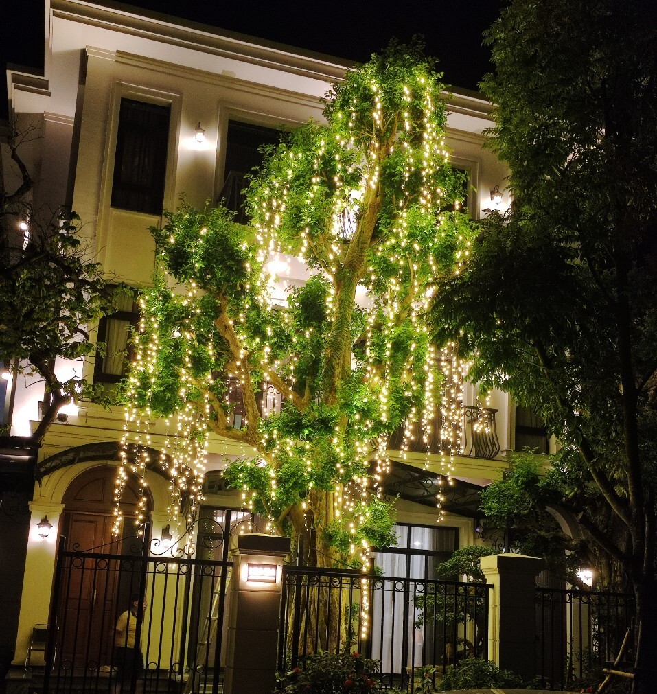 z4210535325966_35013ae737490f57ed00550e34f91469